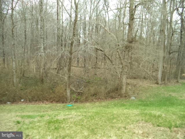 MAXA WOODS - Residential