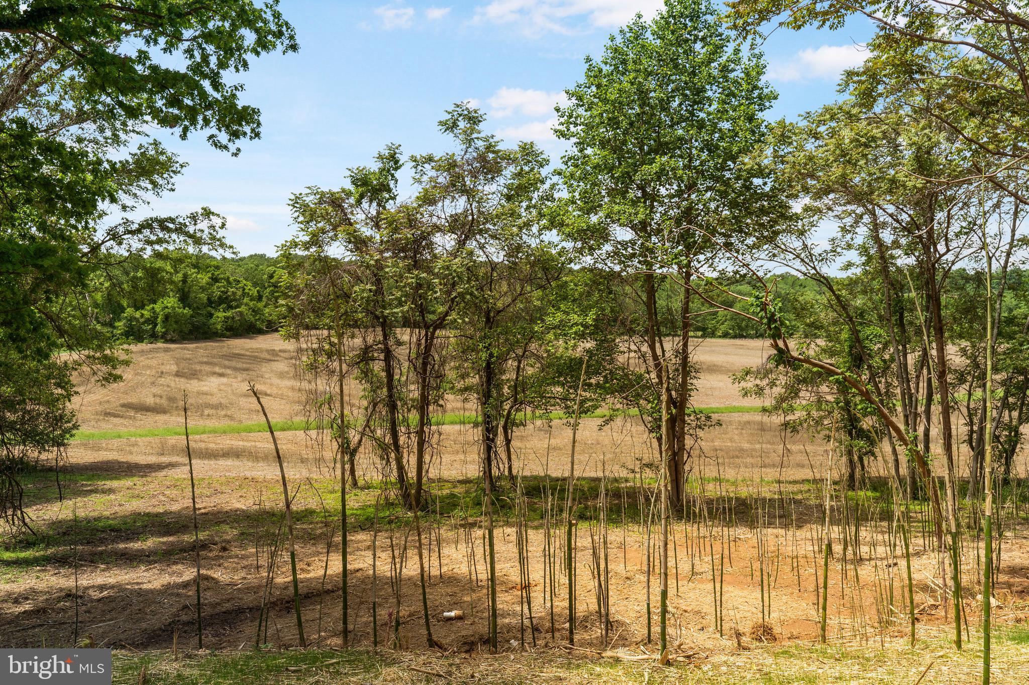 CAVESWOOD - Residential