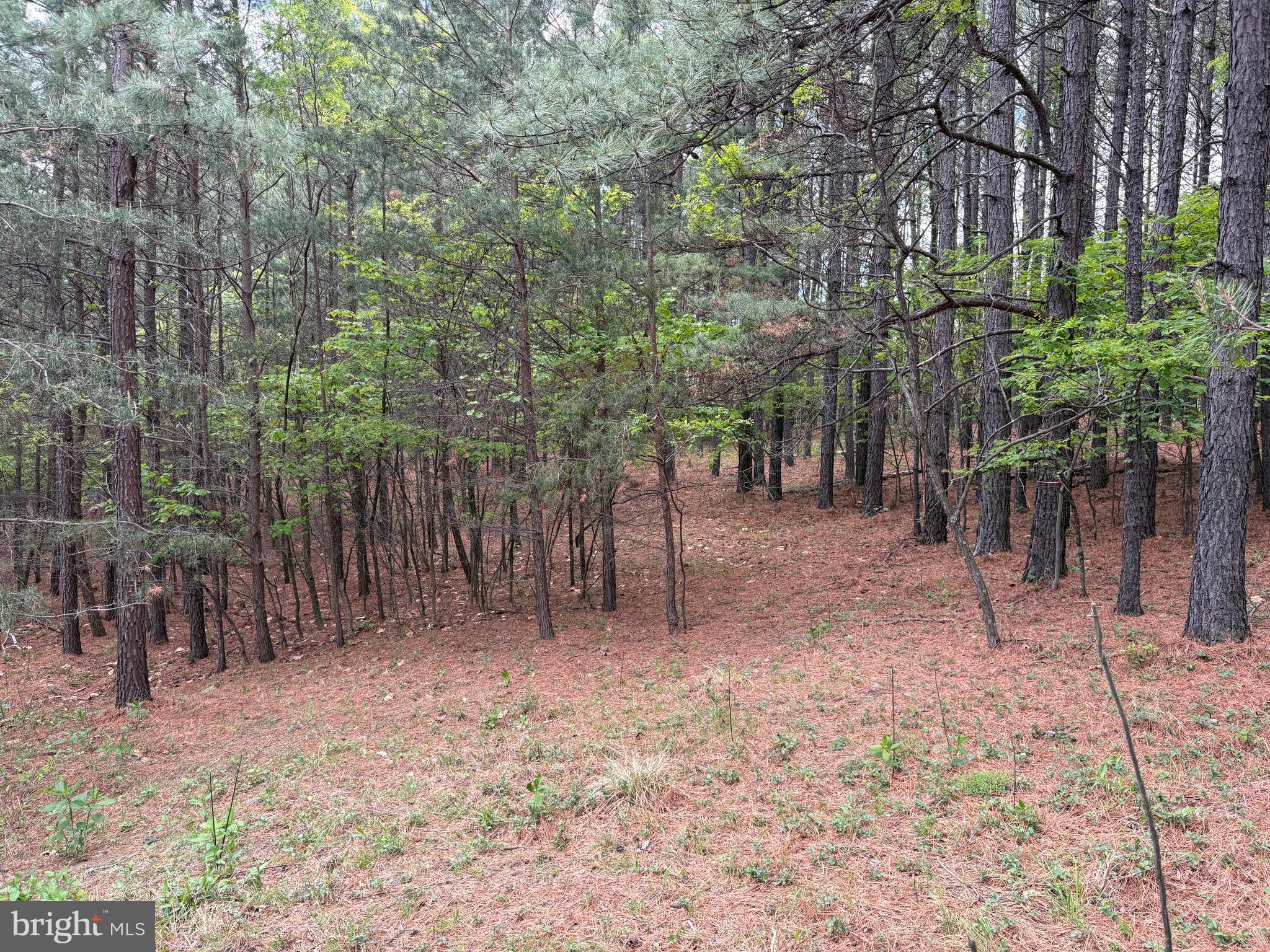 ASHTON WOODS - Land