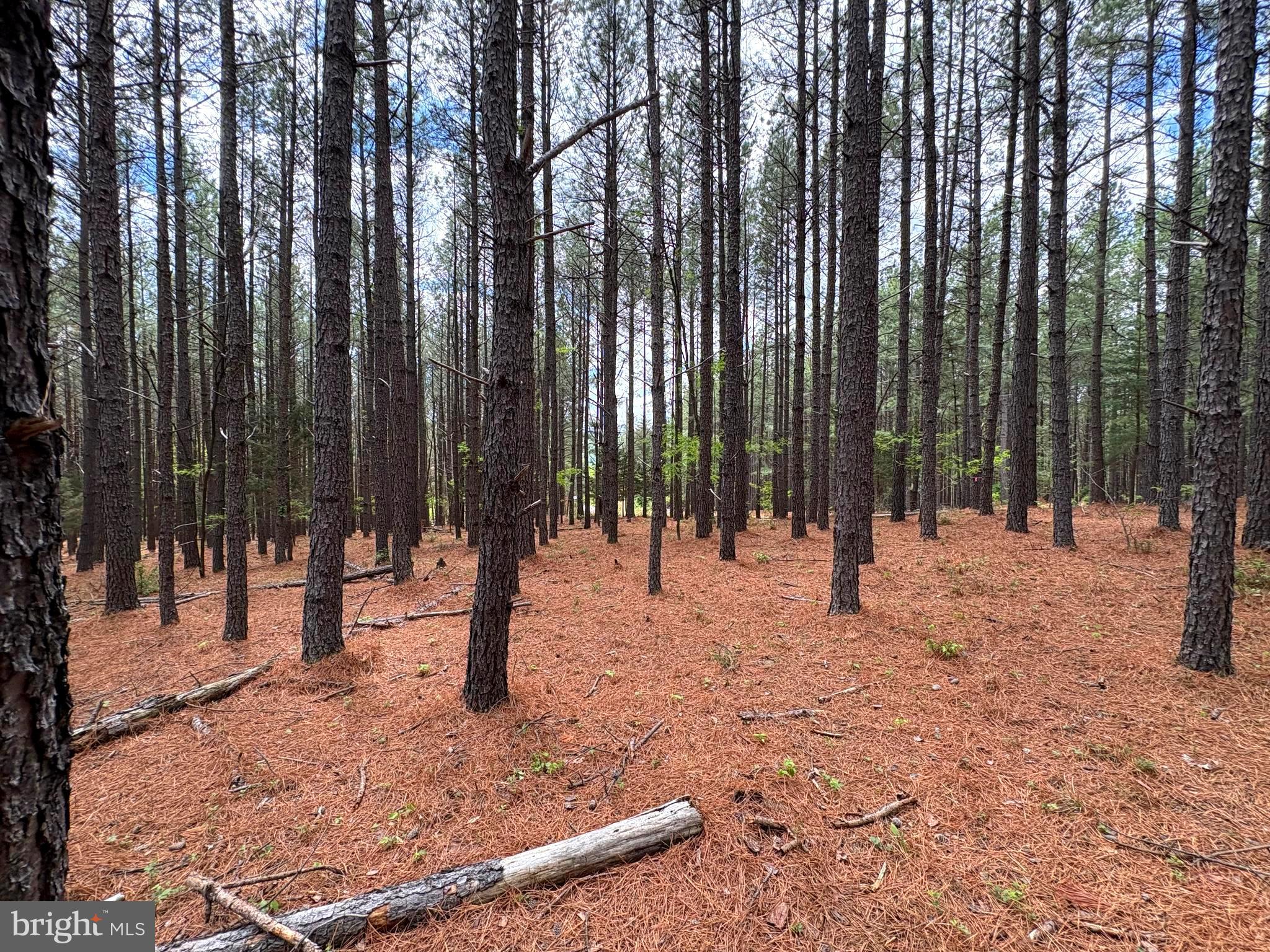 ASHTON WOODS - Land