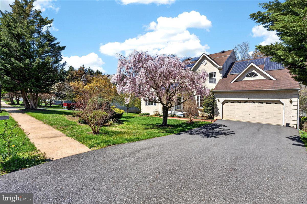 ACADEMY HILL - Residential