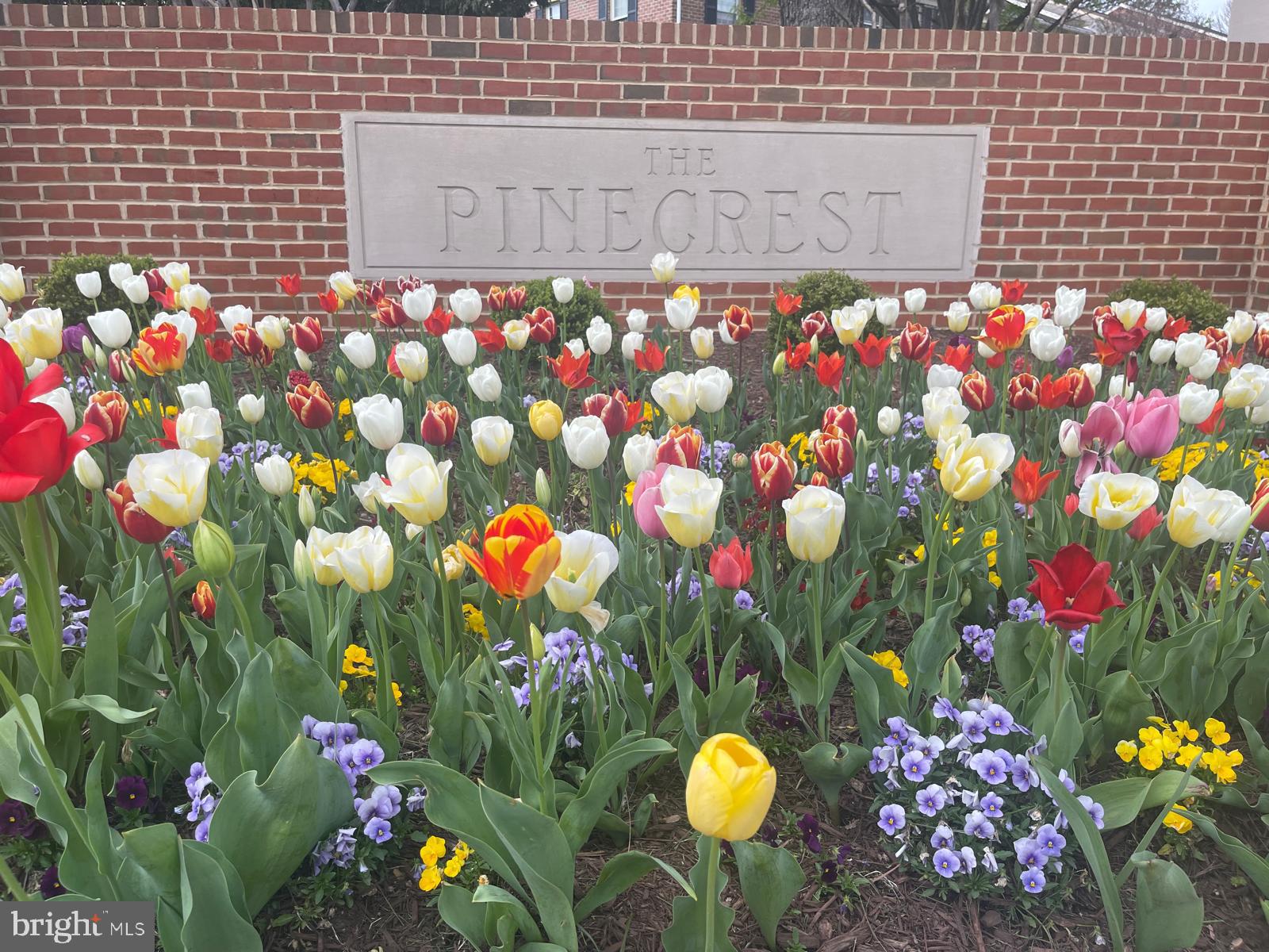 CARR AT PINECREST - Residential