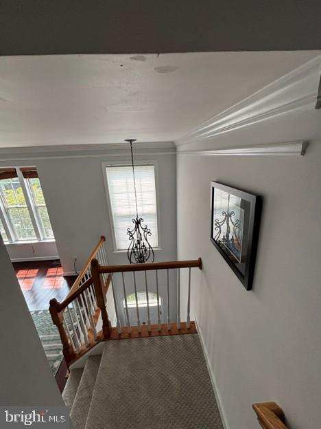 42525 MAGELLAN SQUARE