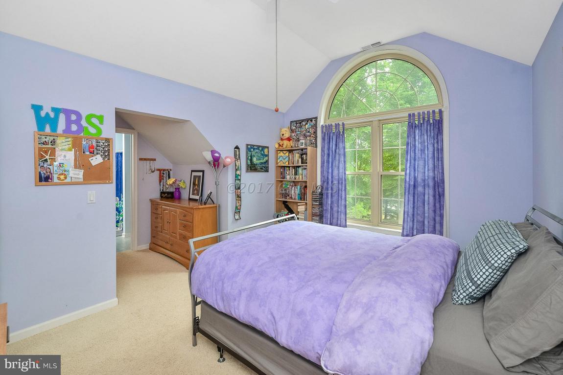 SHALLOWS THE - Residential