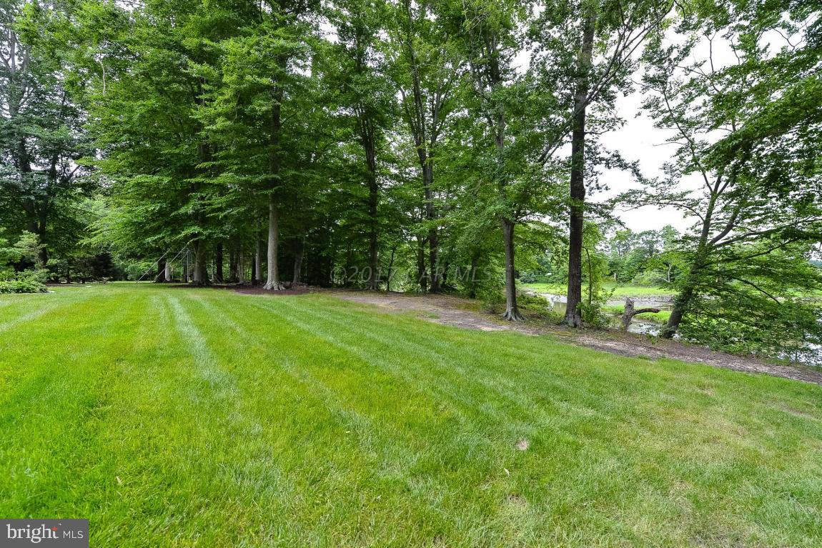 SHALLOWS THE - Residential