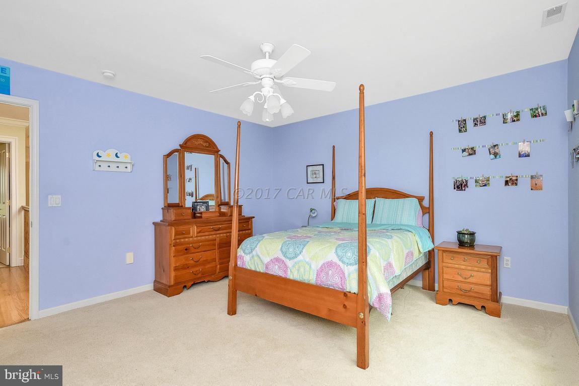 SHALLOWS THE - Residential