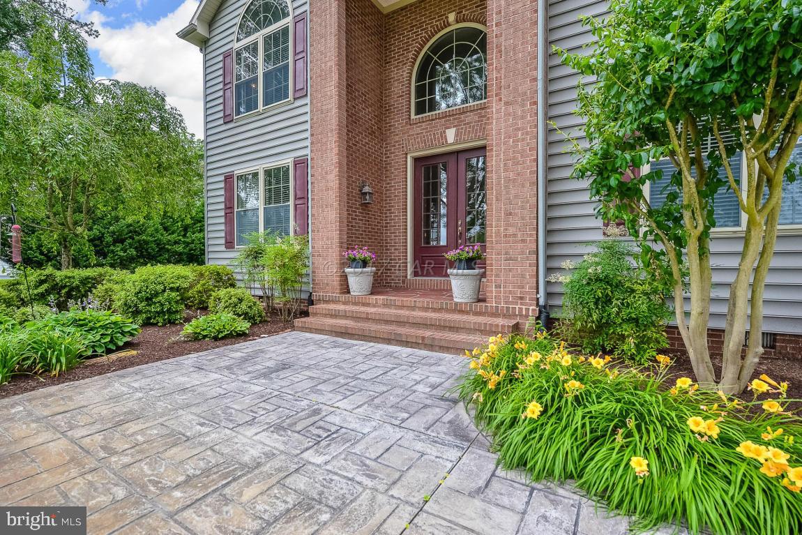 SHALLOWS THE - Residential