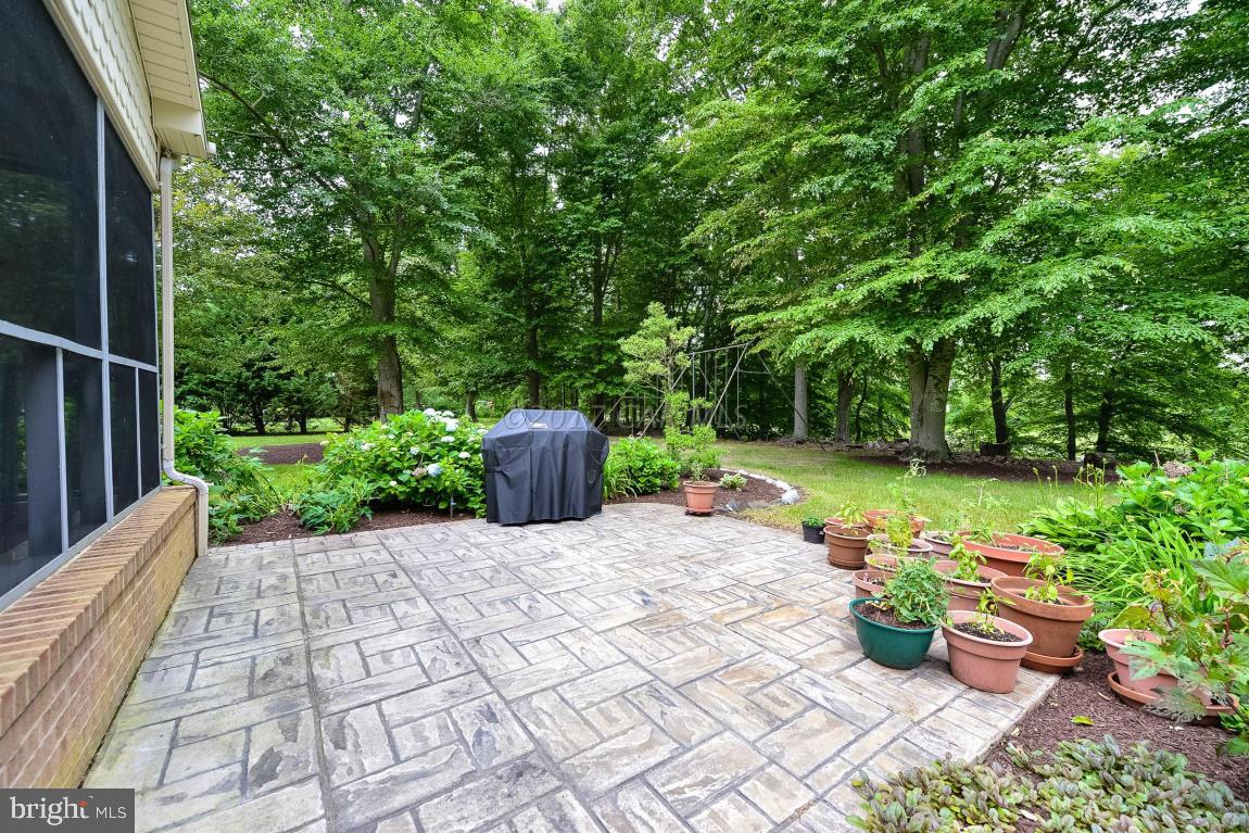 SHALLOWS THE - Residential