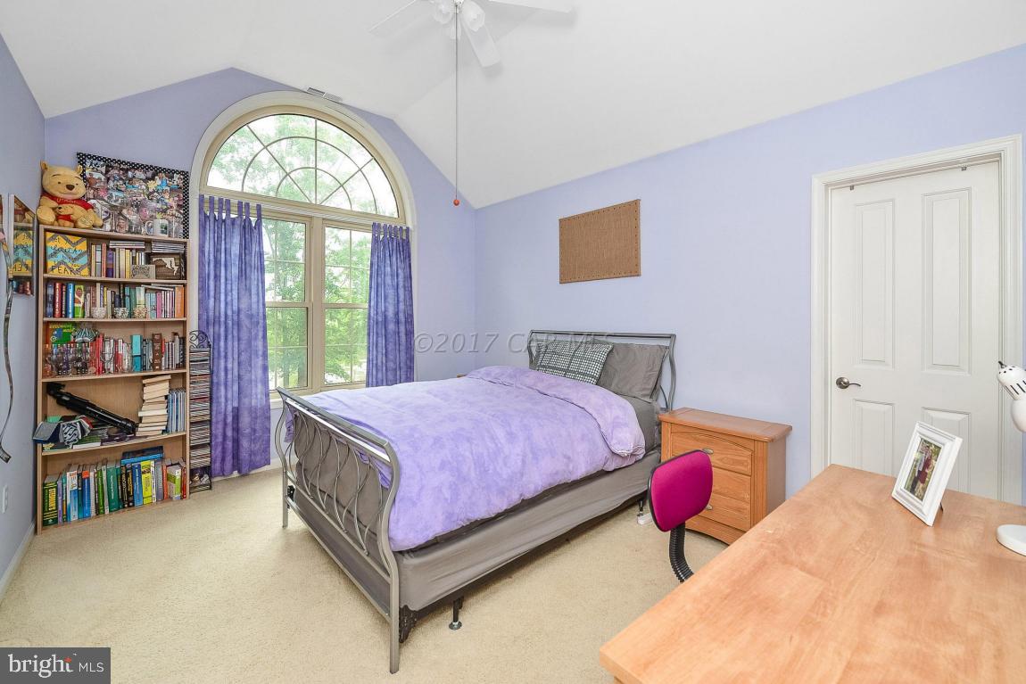 SHALLOWS THE - Residential