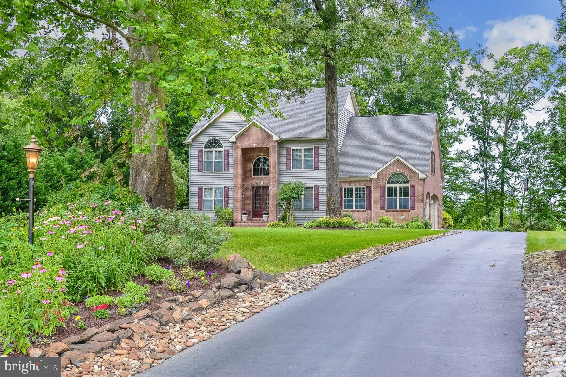 SHALLOWS THE - Residential