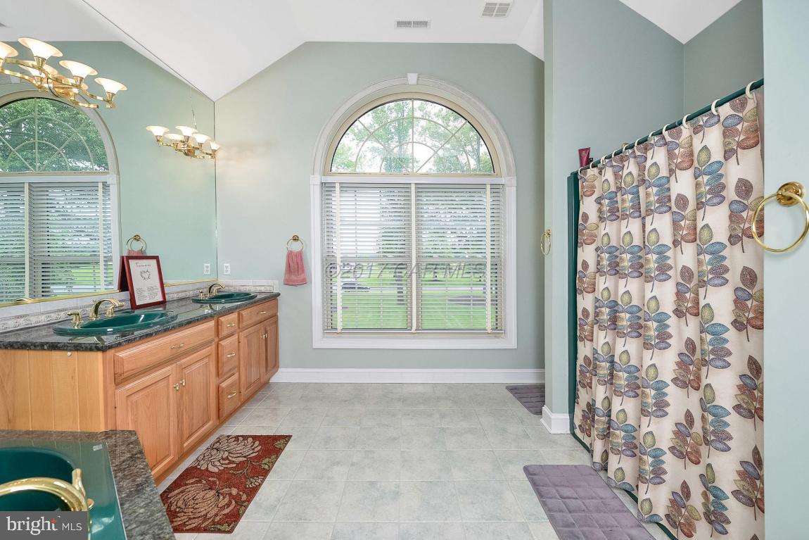 SHALLOWS THE - Residential