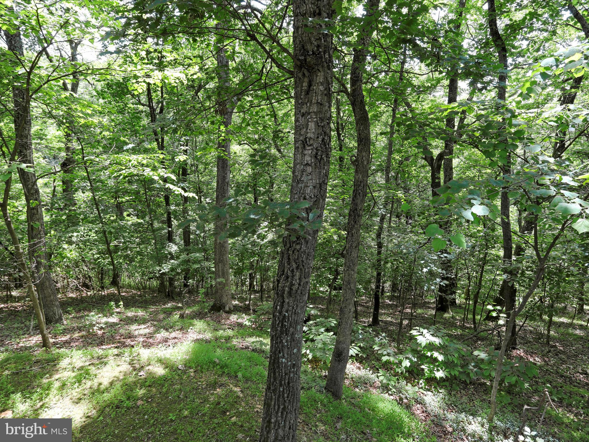 BLUE RIDGE ACRES - Residential