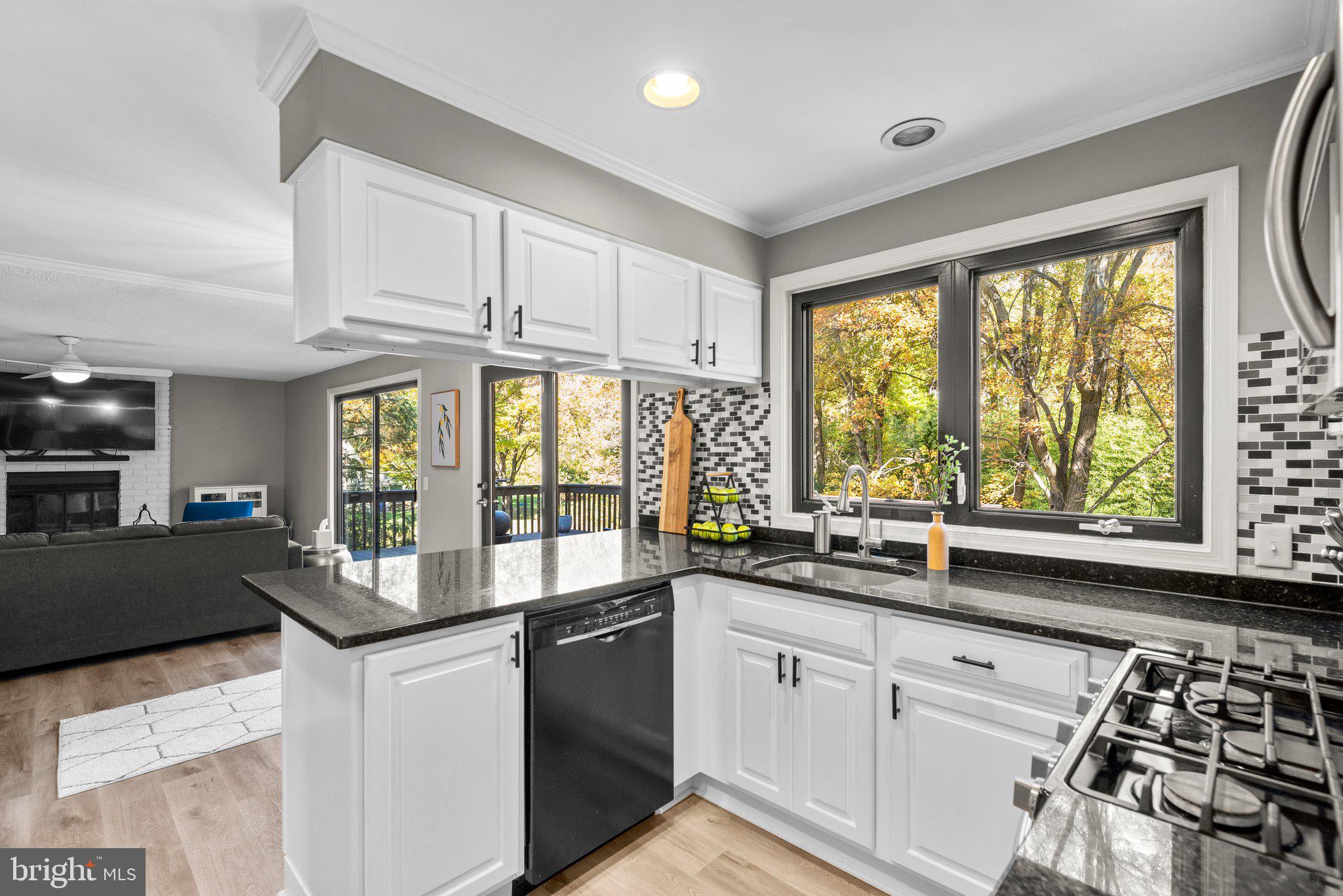 VILLAGE OF OAKLAND MILLS - Residential