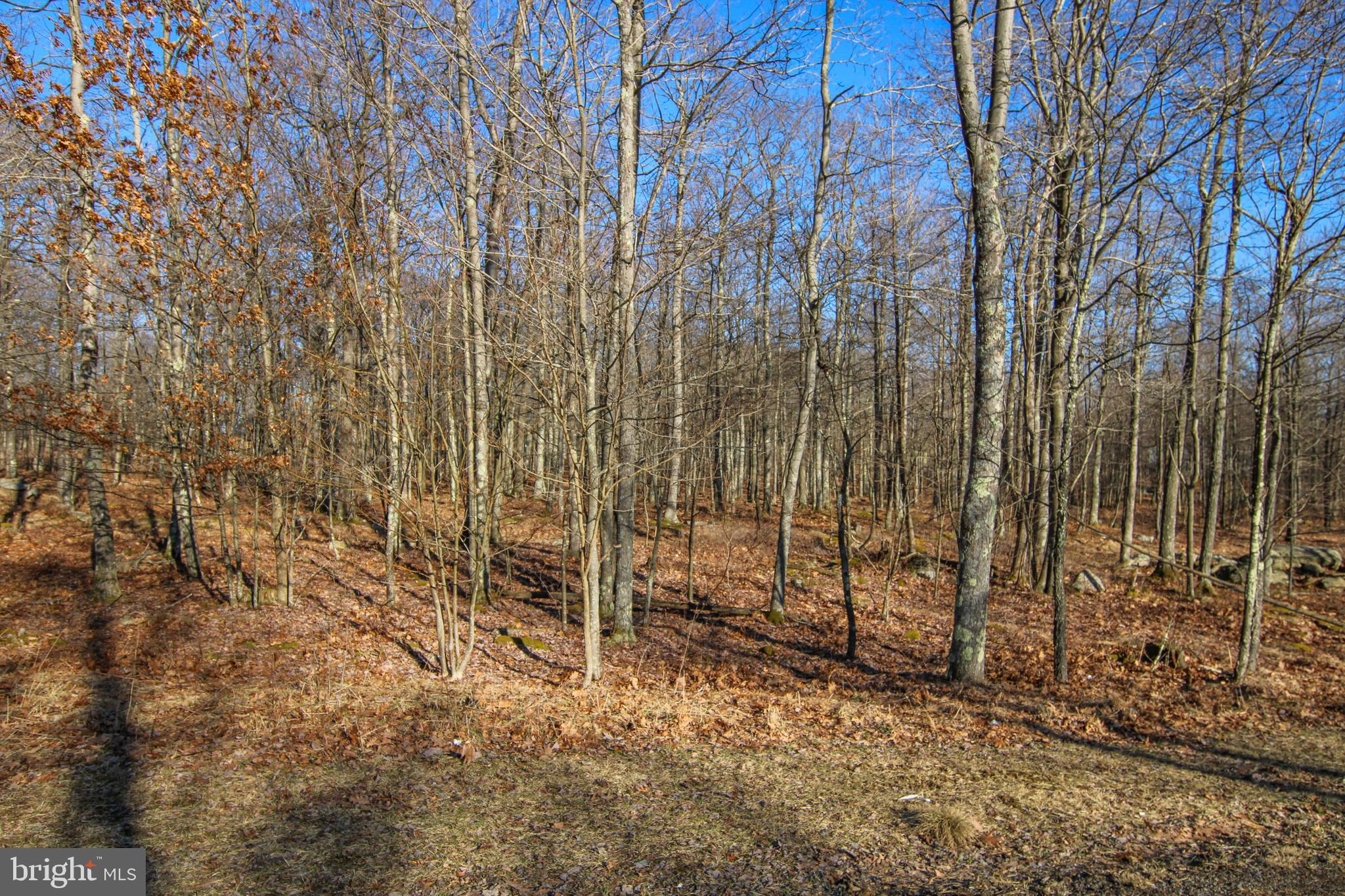 SANDY SHORES HEIGHTS - Land