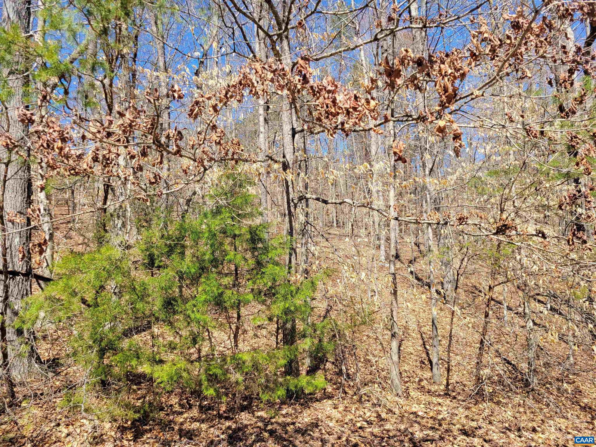 NONE AVAILABLE - Land