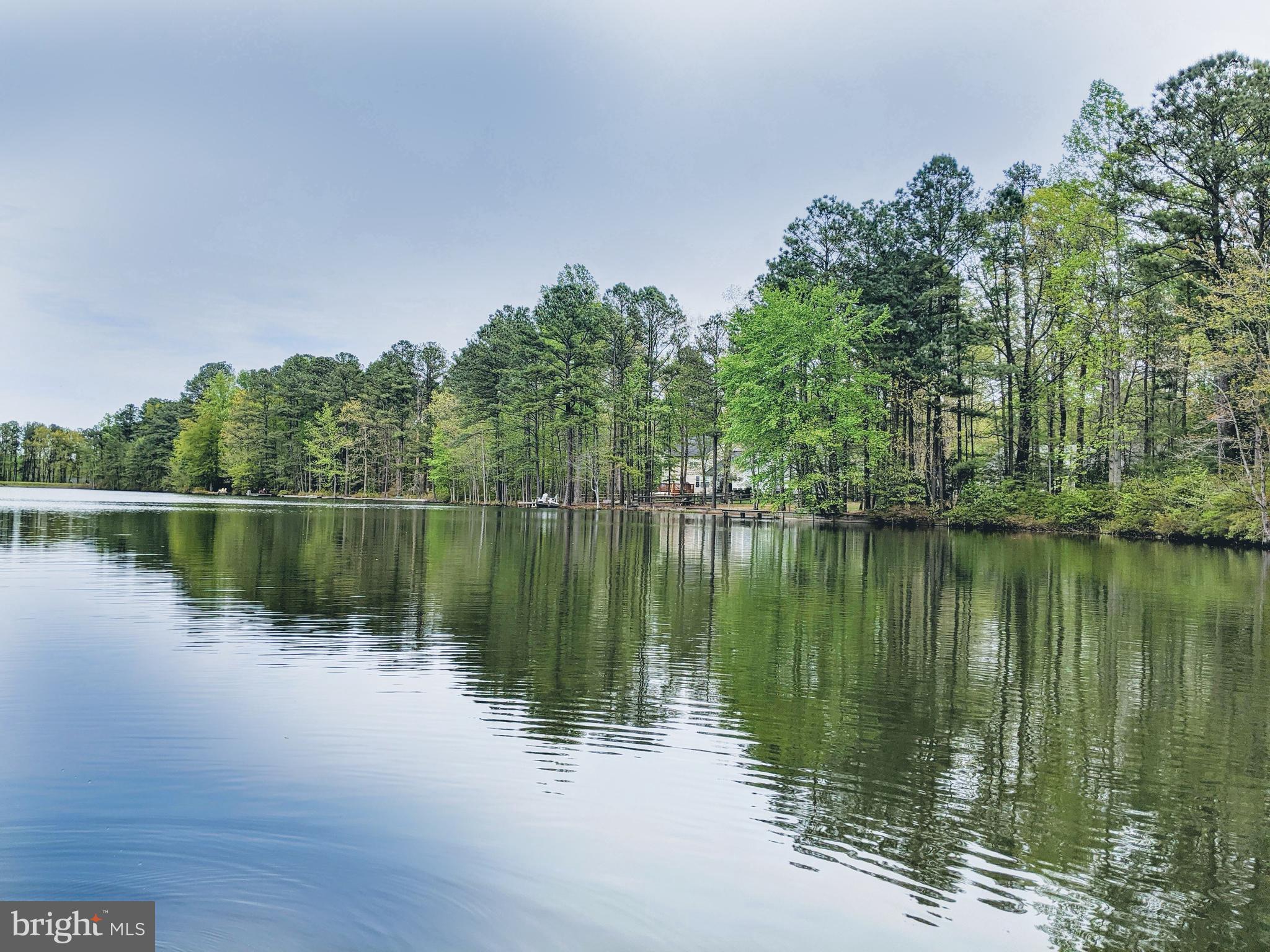 LAKE CAROLINE - Residential