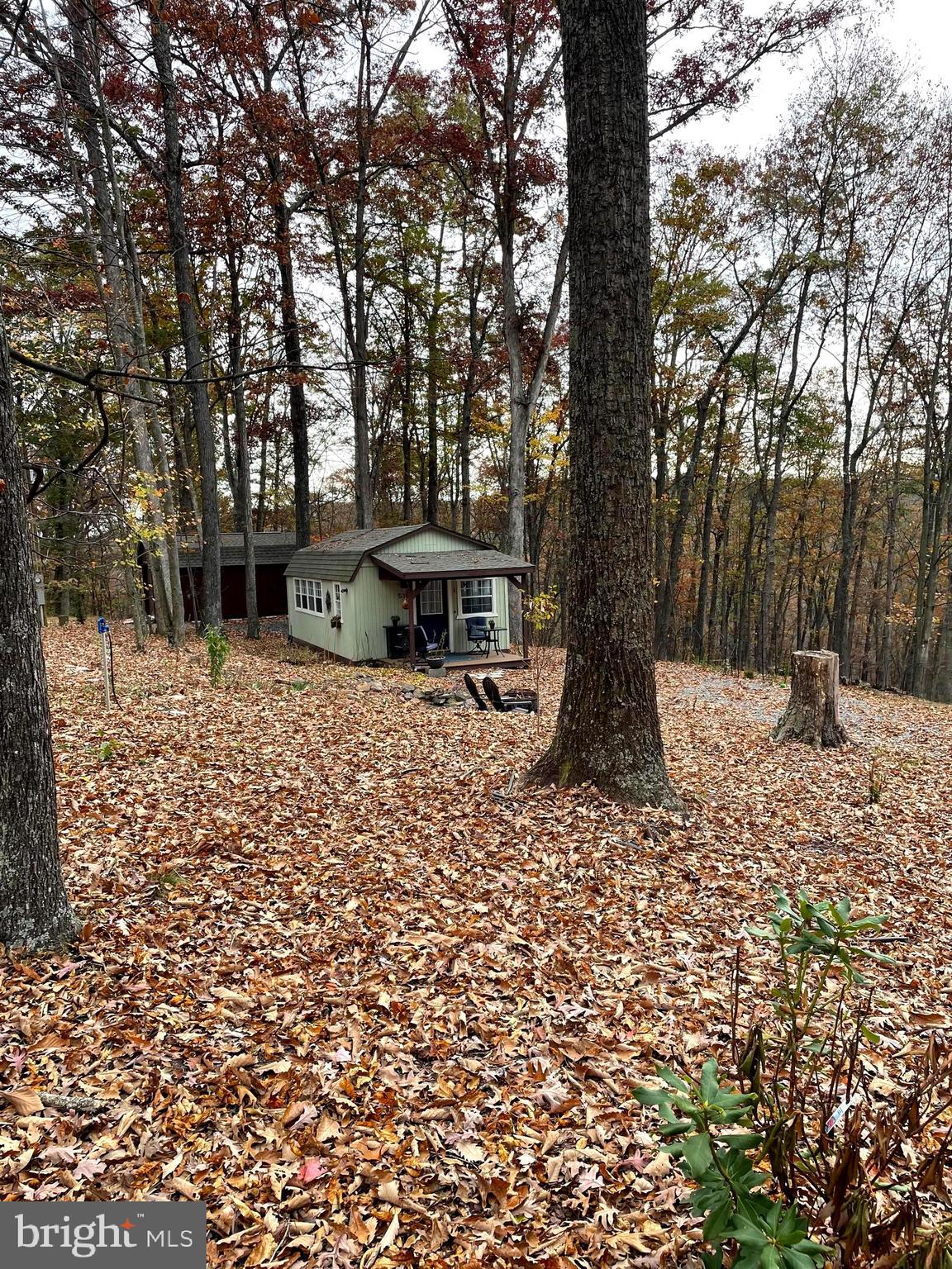 DOGWOOD FLATS - Residential