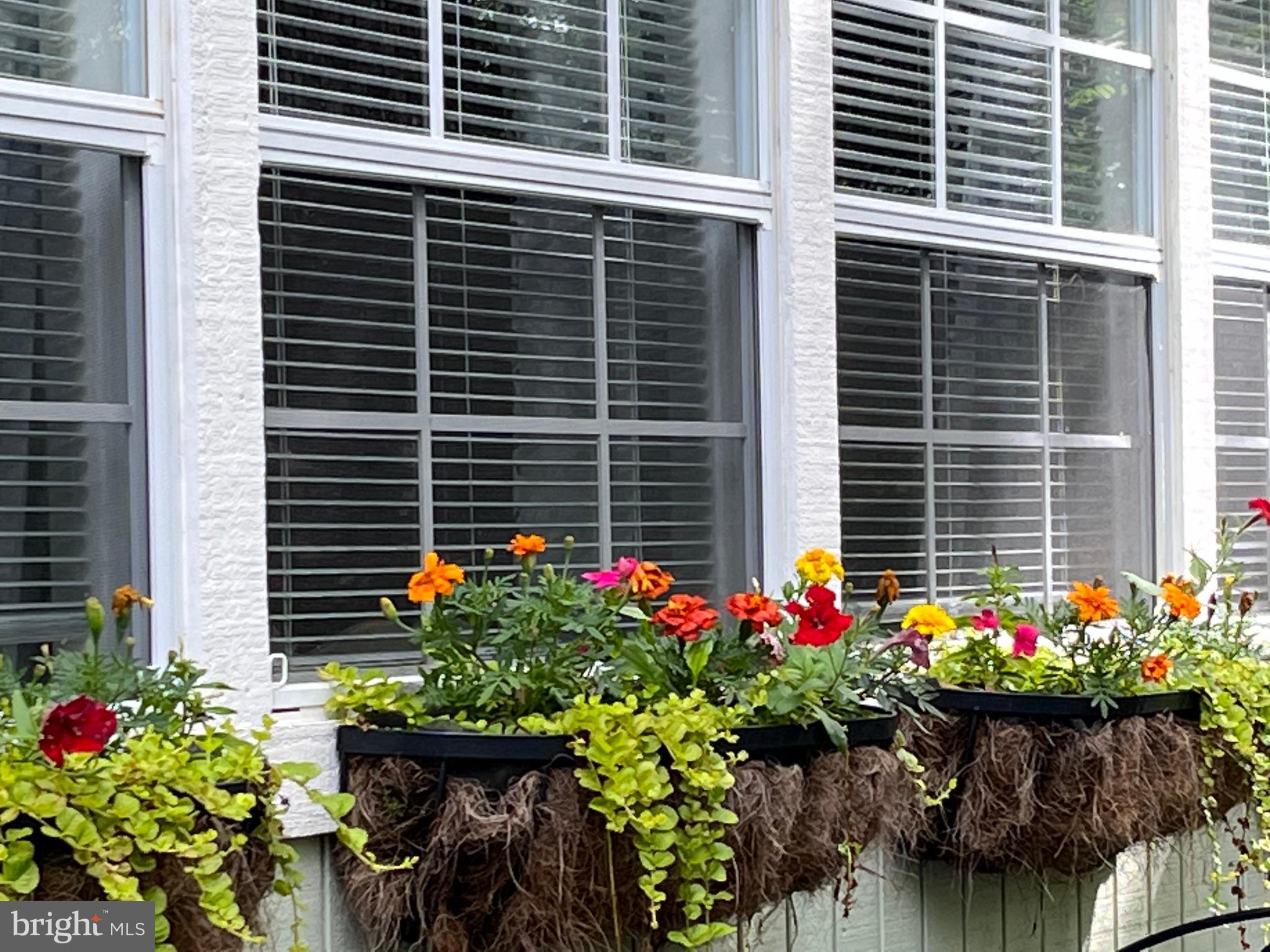 DOGWOOD FLATS - Residential