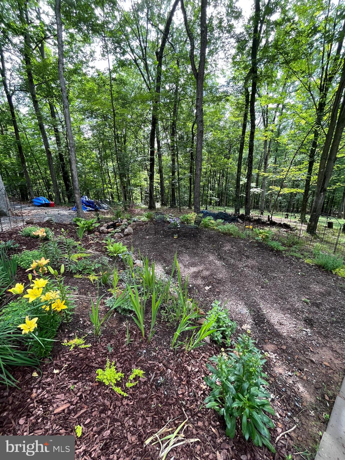 DOGWOOD FLATS - Residential