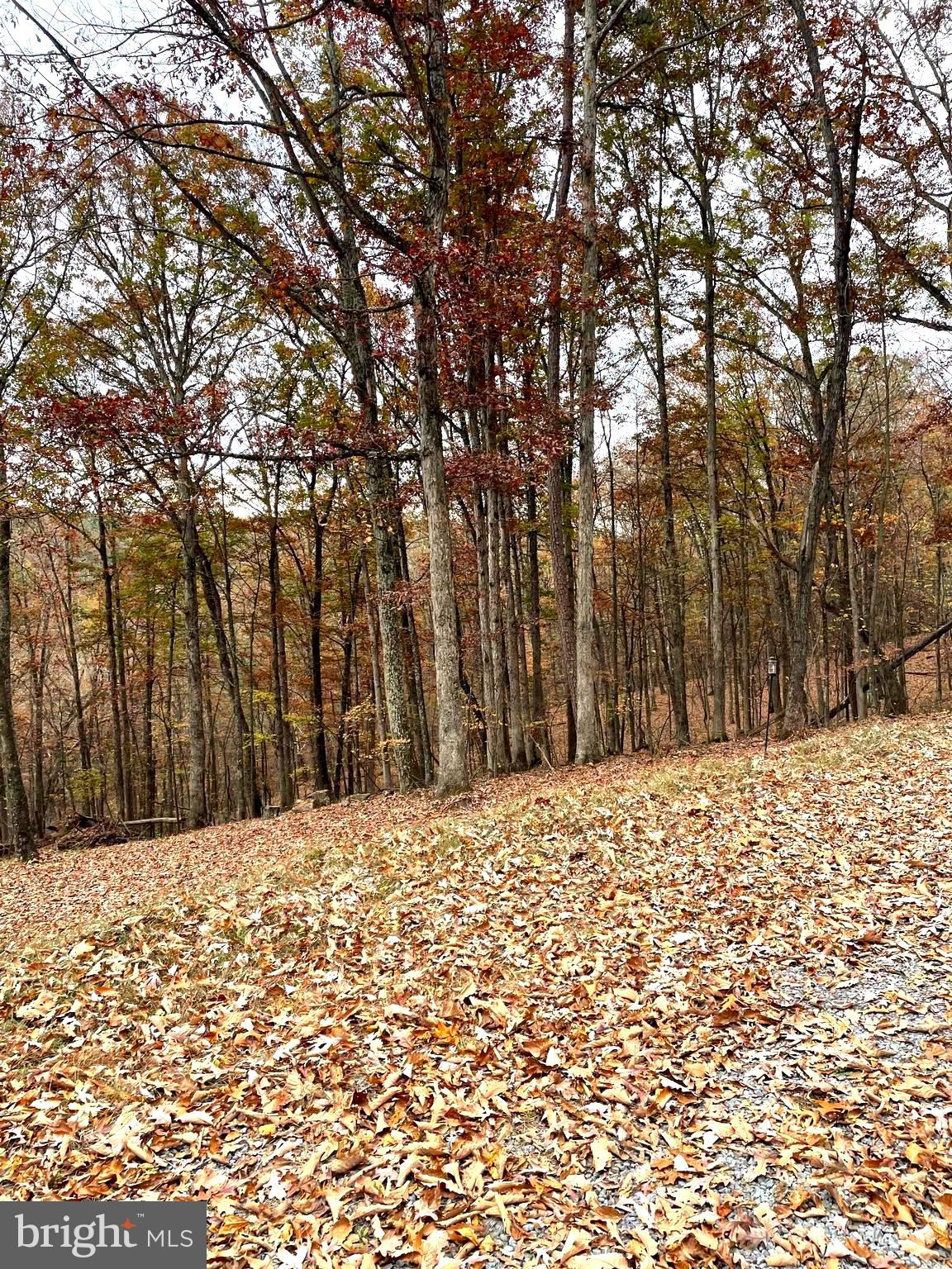 DOGWOOD FLATS - Residential