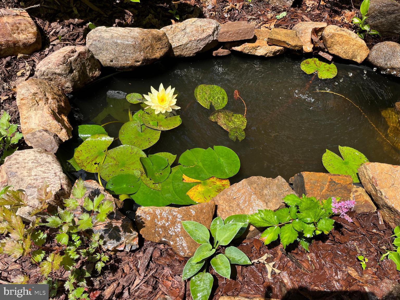 DOGWOOD FLATS - Residential