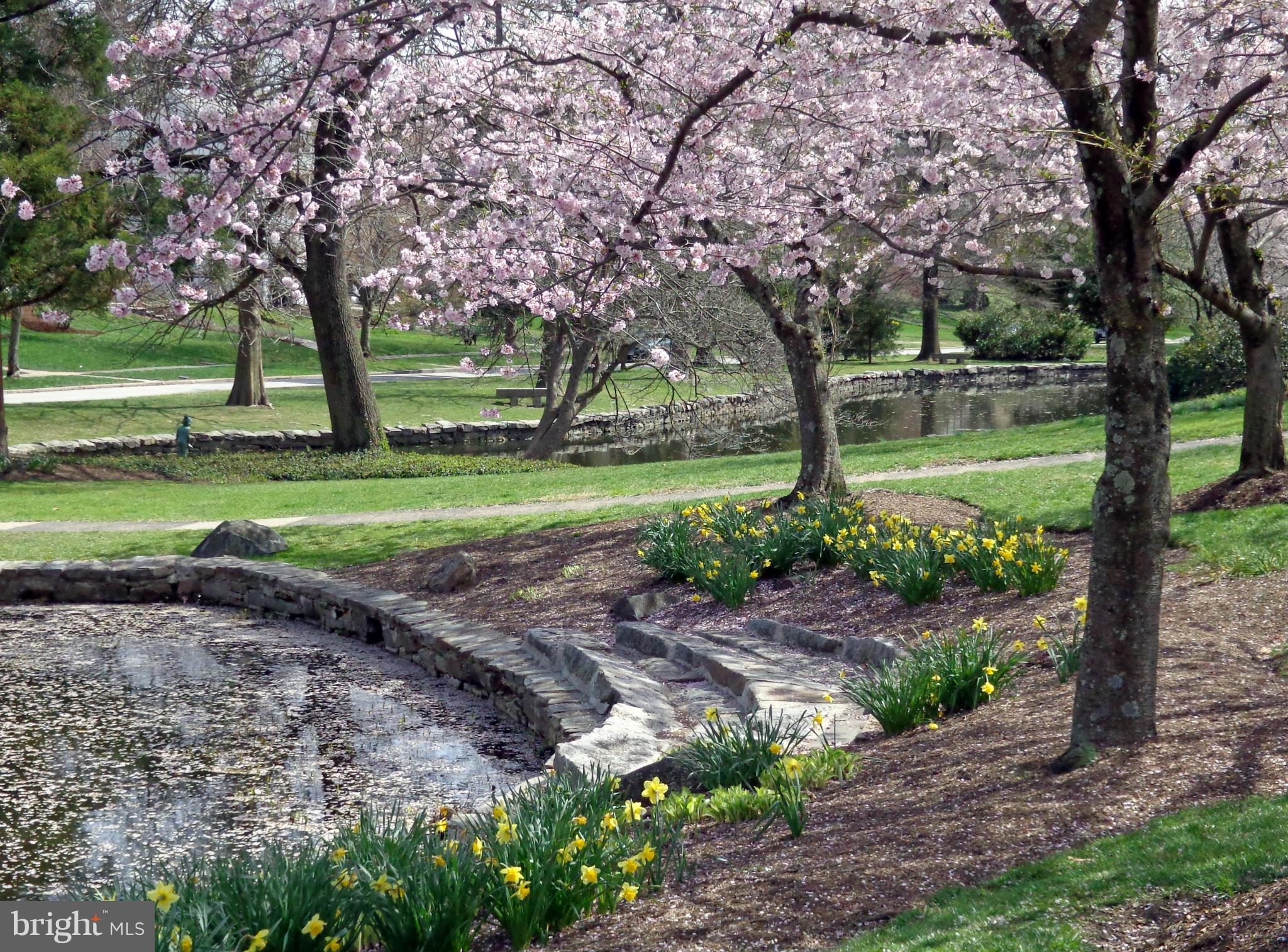 GREATER HOMELAND HISTORIC DISTRICT - Residential