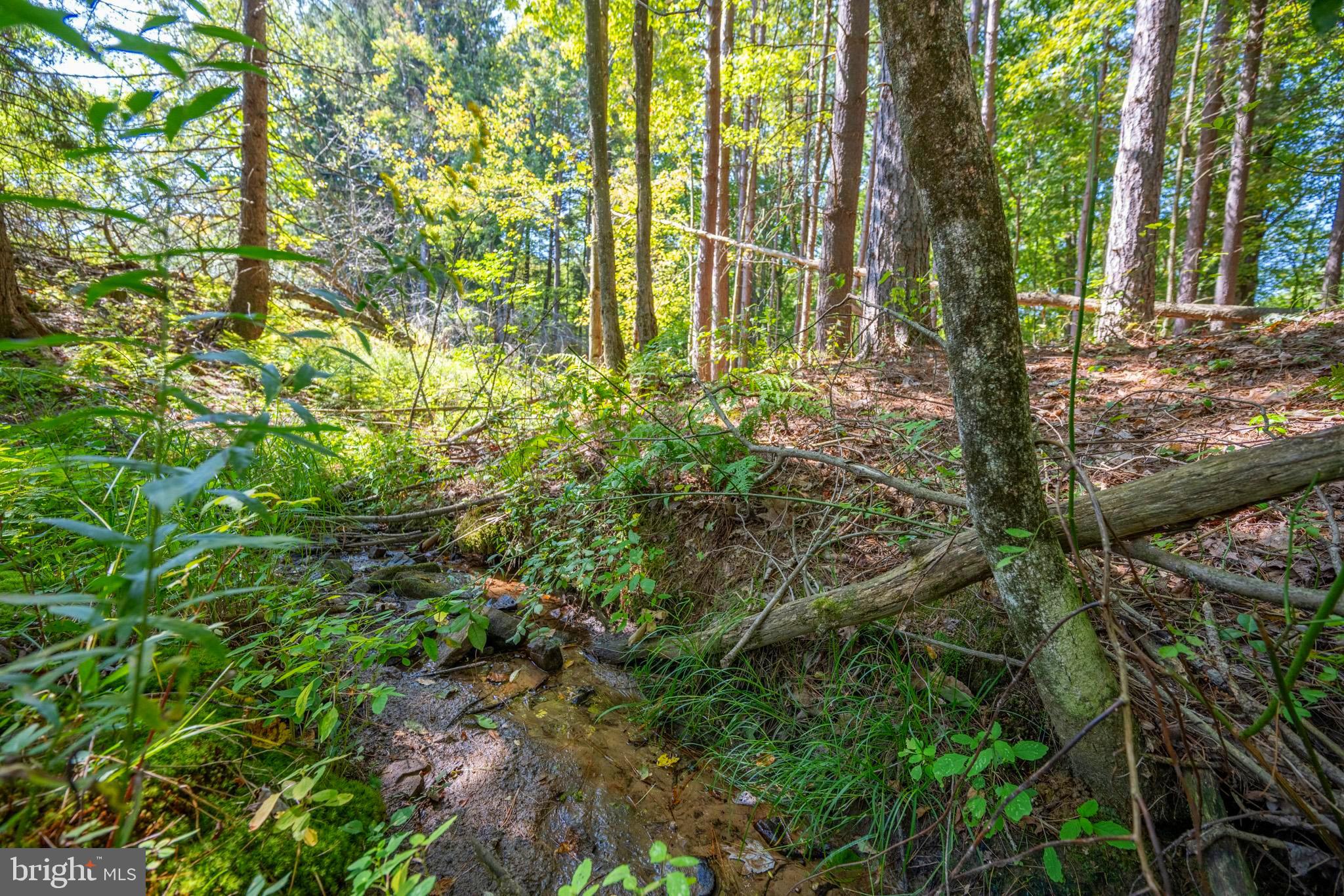 3348 & 3360 COVE ROAD