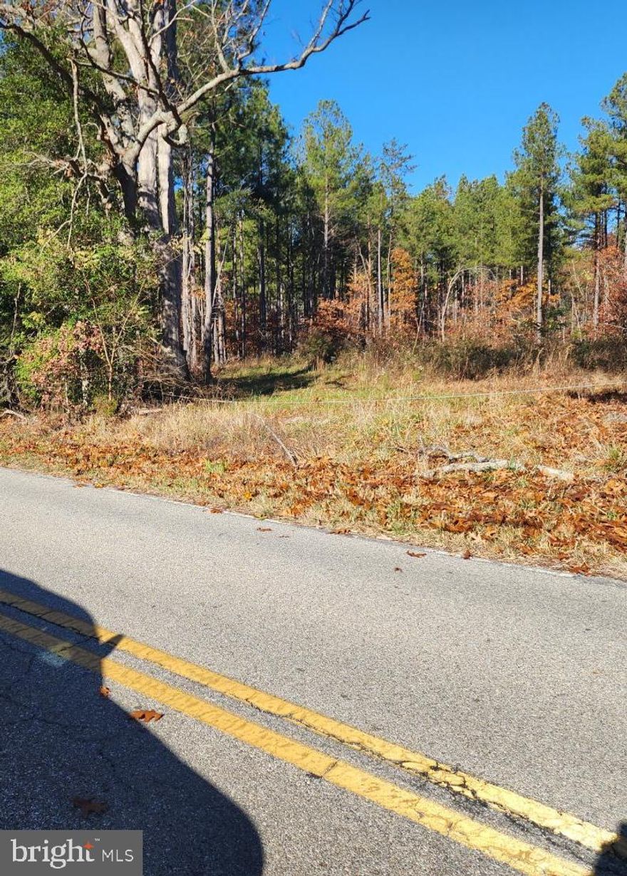 MOTIVATED SELLER!  This land's strategic location in Calvert County ensures convenient access to local amenities and services, while still maintaining a sense of seclusion and privacy. Whether you envision having your own farm, establishing an eco-friendly retreat, or simply escaping the hustle and bustle of urban life, this 24-acre parcel promises an idyllic setting to realize your vision of a harmonious life in nature.