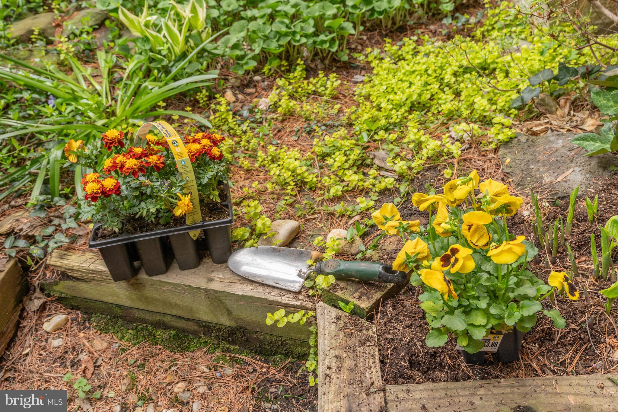 SEMINARY WALK - Residential