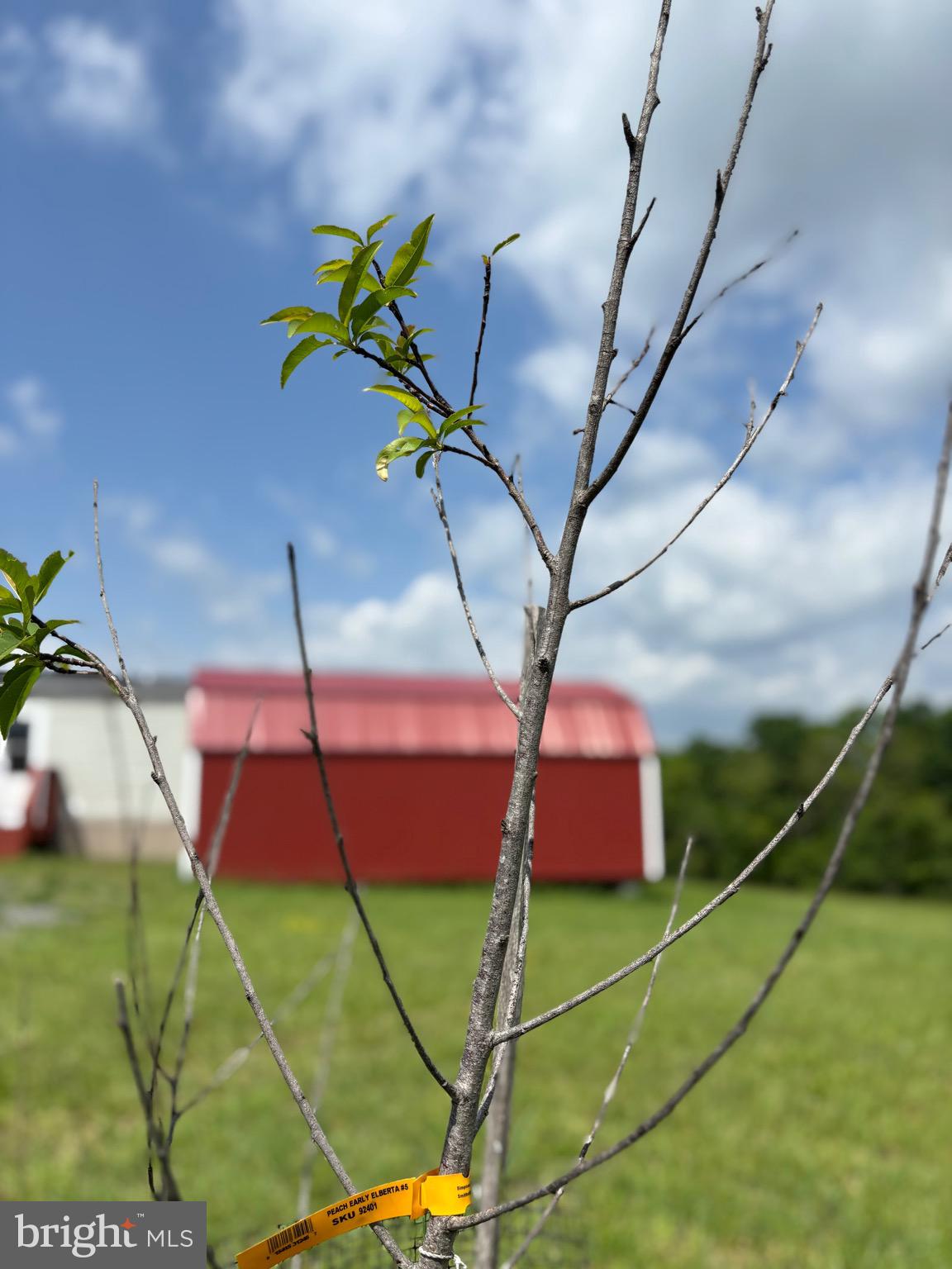 MILL MOUNTAIN ORCHARD - Residential