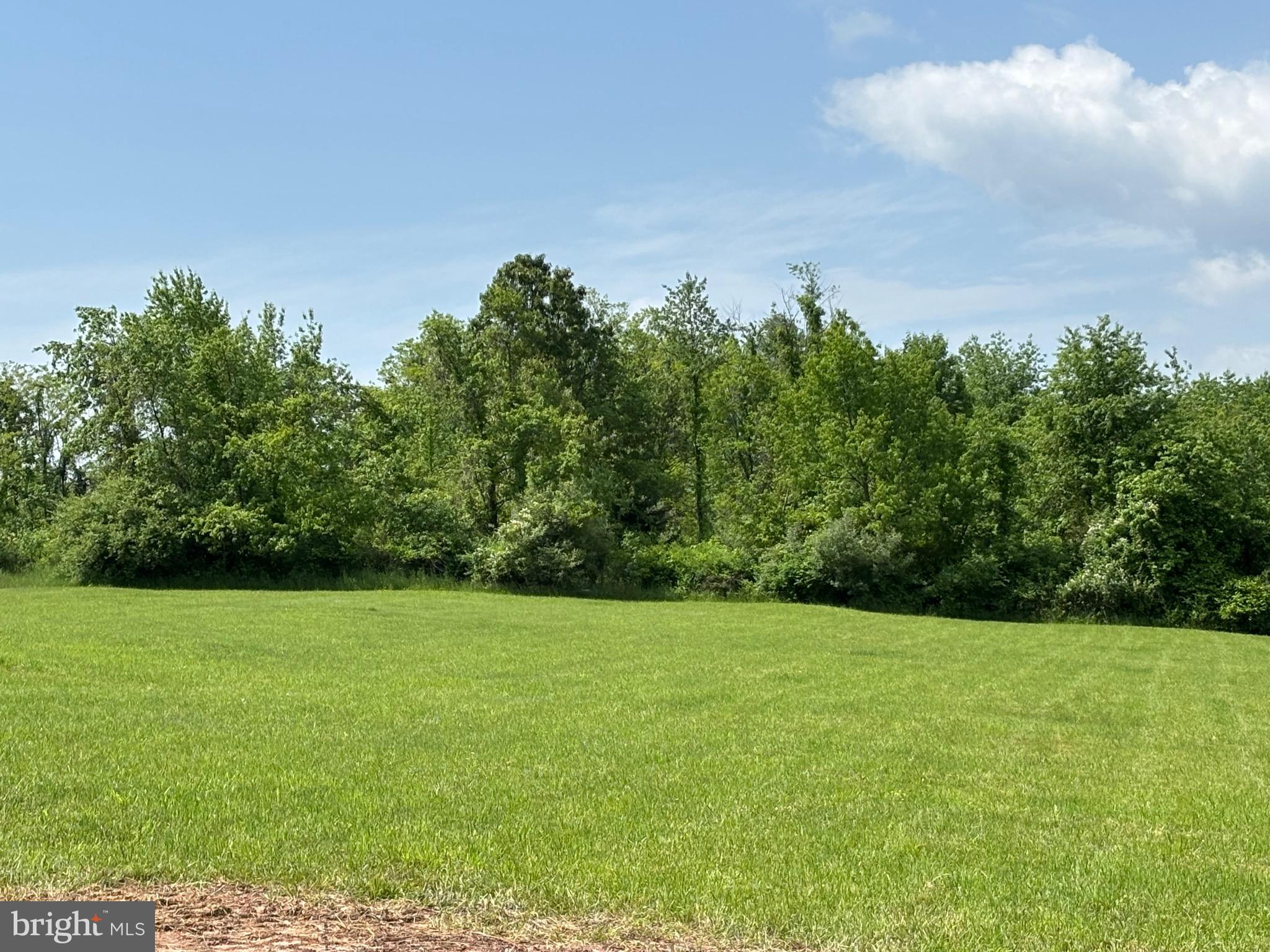 MILL MOUNTAIN ORCHARD - Residential