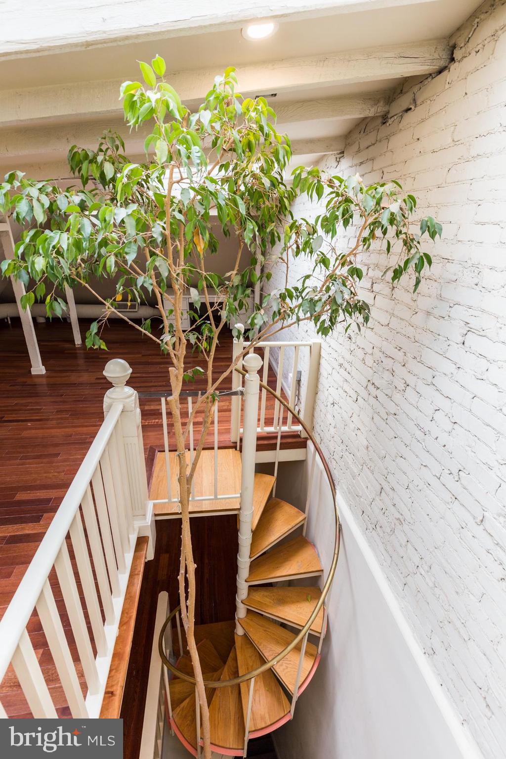 CEDAR PARK - Residential Lease