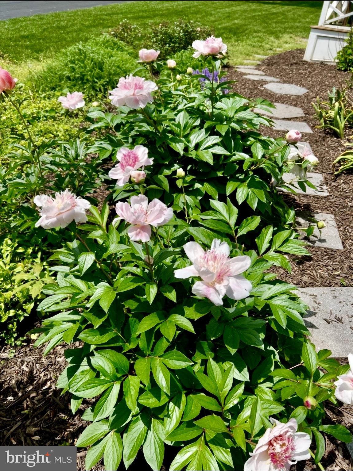 LOCKMEADE - Residential