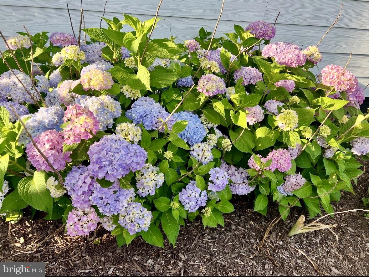 LOCKMEADE - Residential