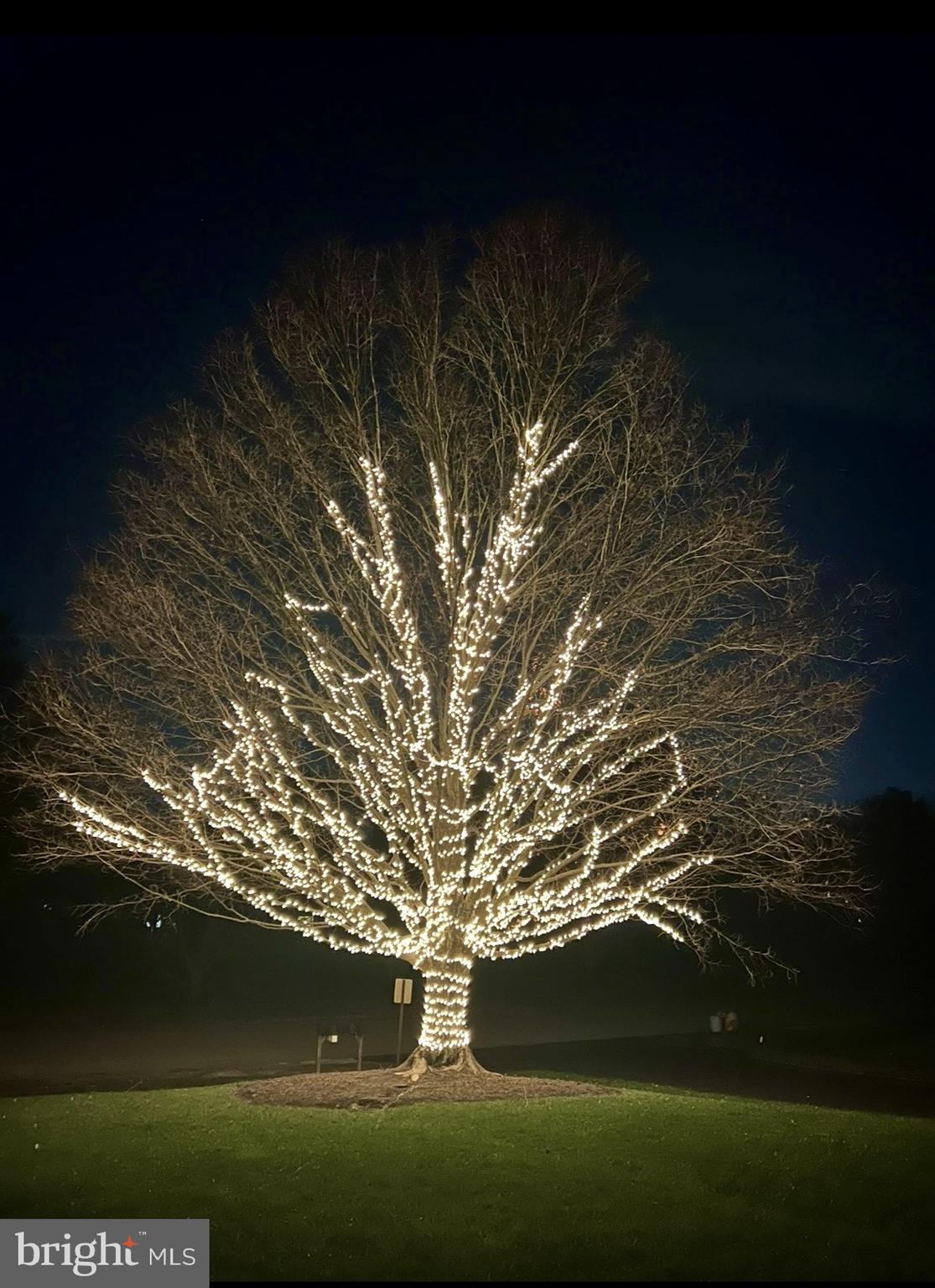 LOCKMEADE - Residential