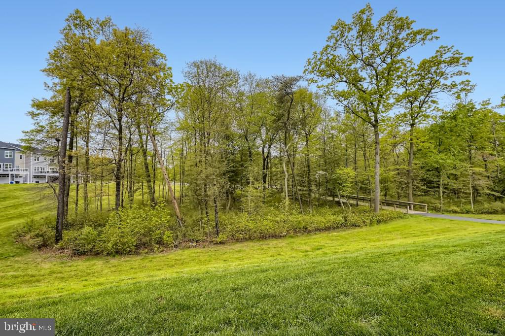 GREENLEIGH AT CROSSROADS - Residential