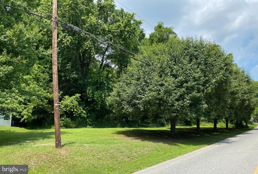 1.25 acre parcel where Sellers had Buyers. .Listed and sold simultaneously with TAX ID # 1301188127 a 4.23 acre parcel.