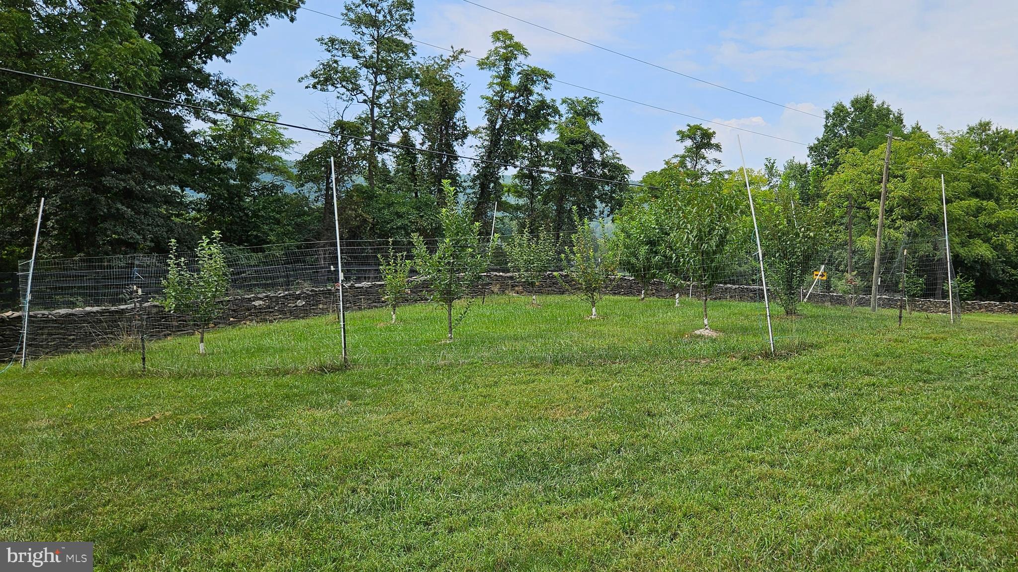 BLUEMONT - Residential