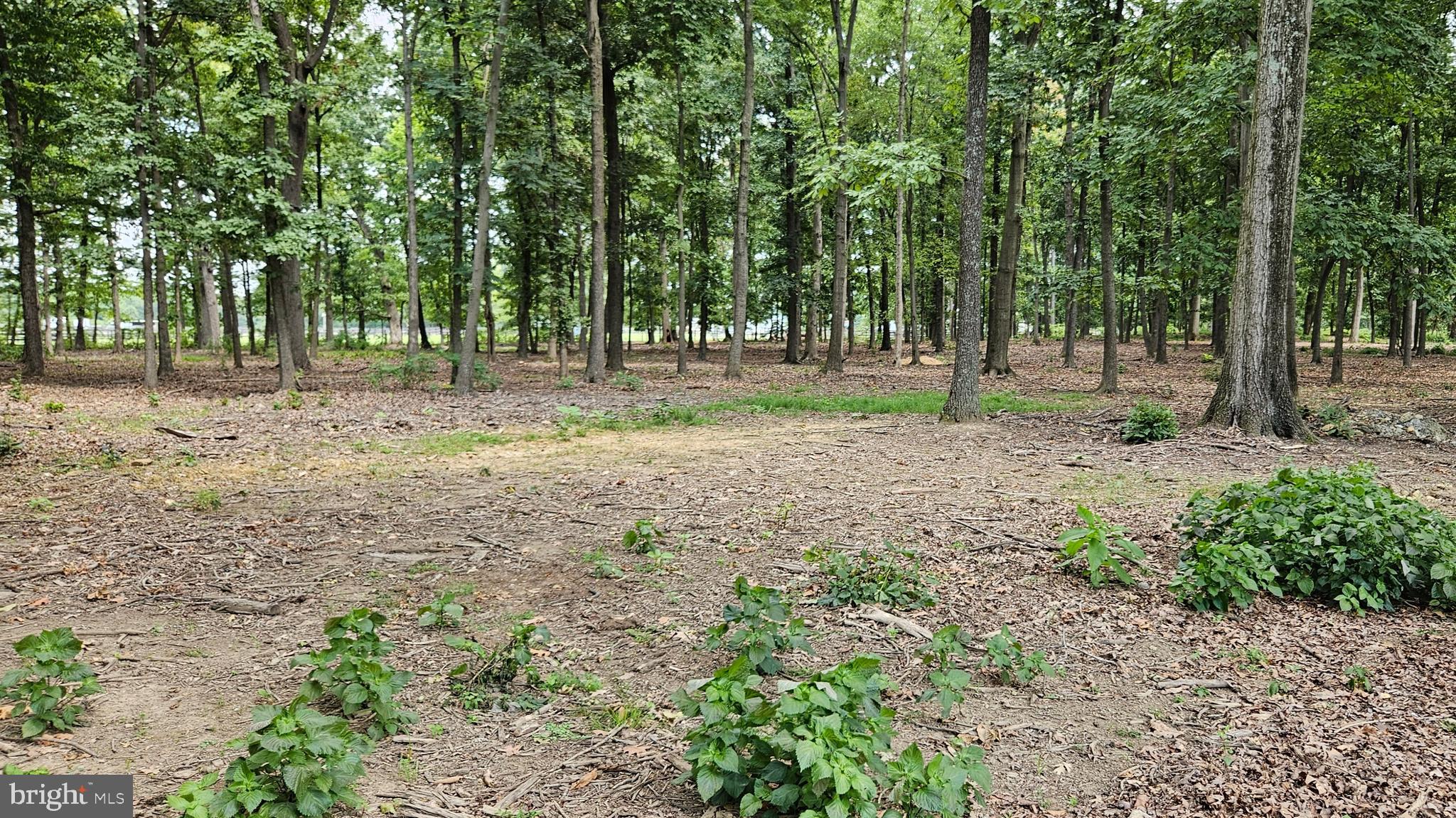 BLUEMONT - Residential