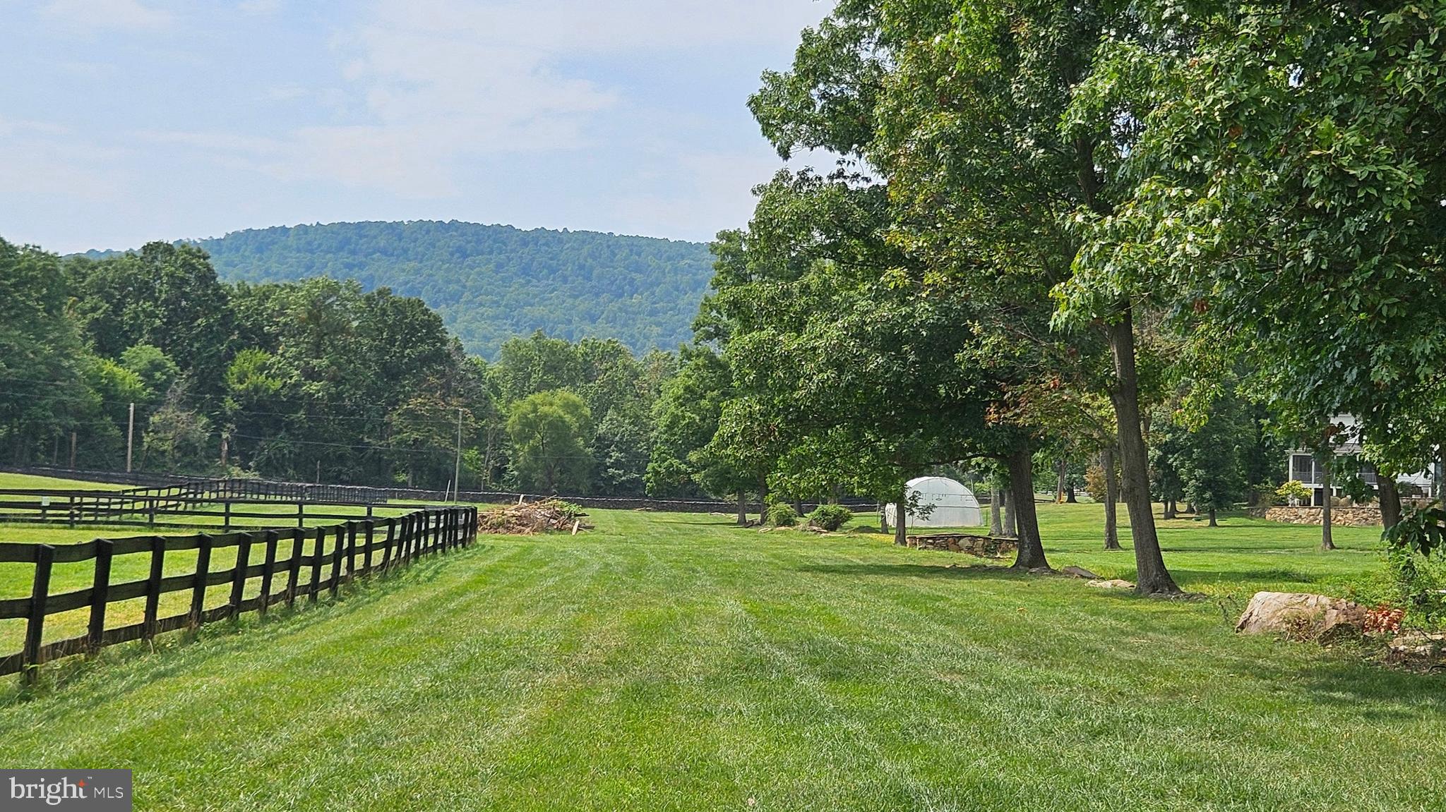 BLUEMONT - Residential