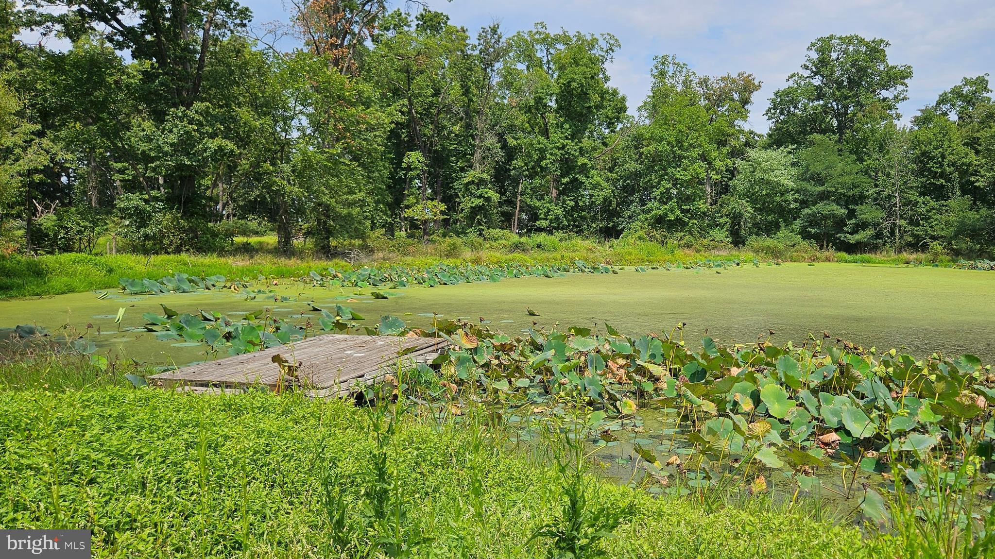 BLUEMONT - Residential