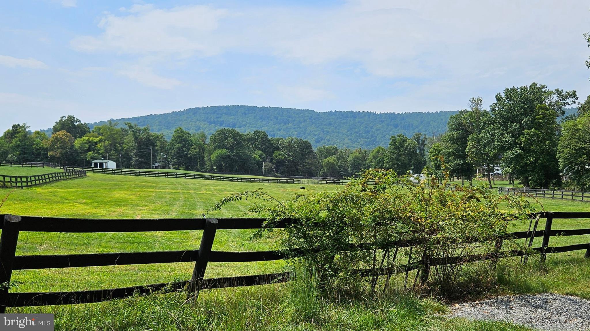 BLUEMONT - Residential