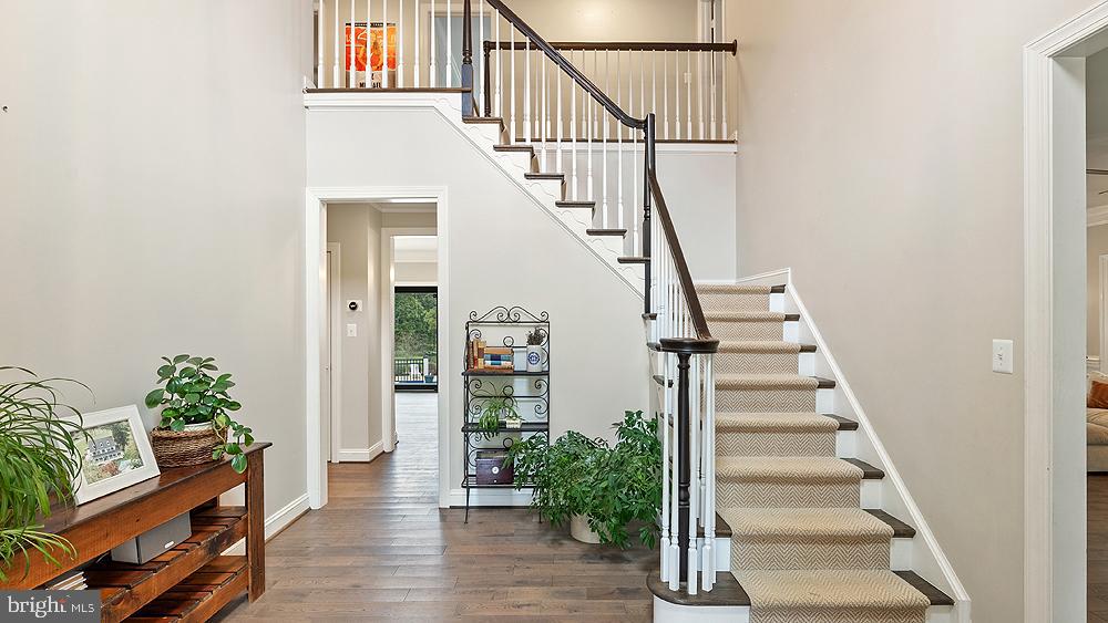 BLUEMONT - Residential