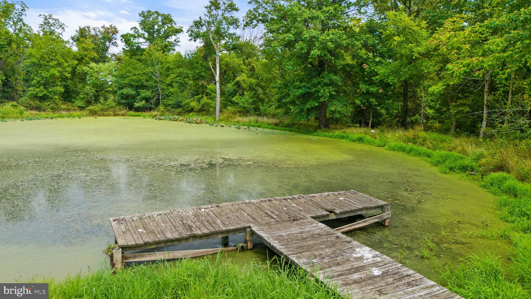 BLUEMONT - Residential