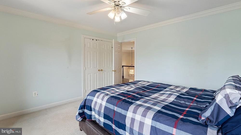 BLUEMONT - Residential