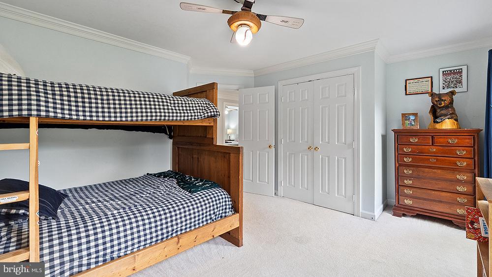 BLUEMONT - Residential