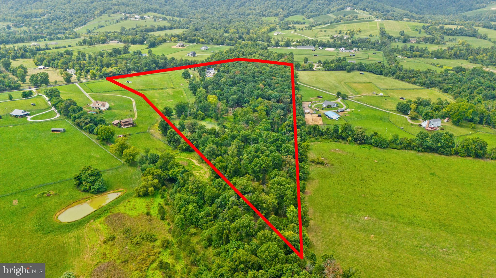 BLUEMONT - Residential