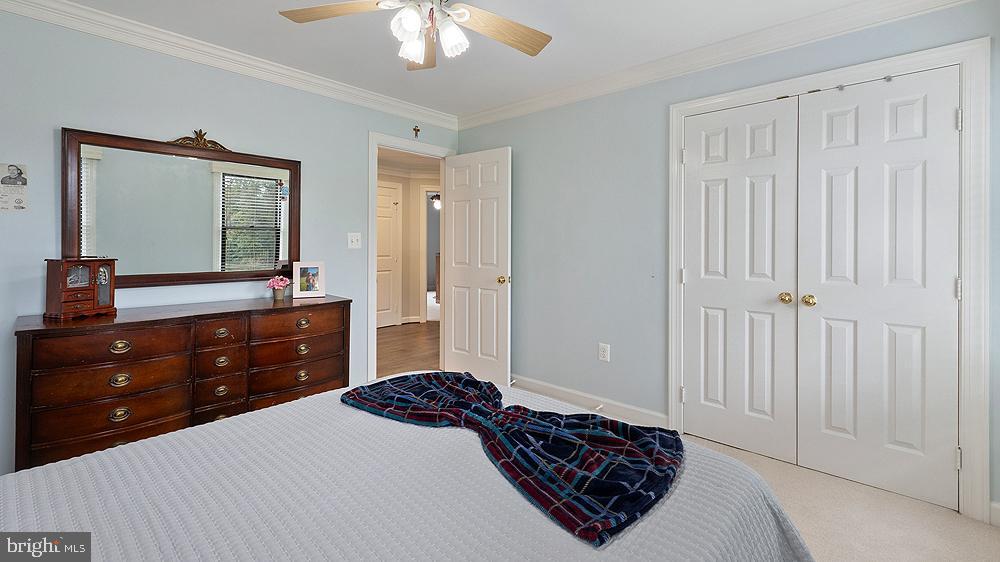 BLUEMONT - Residential