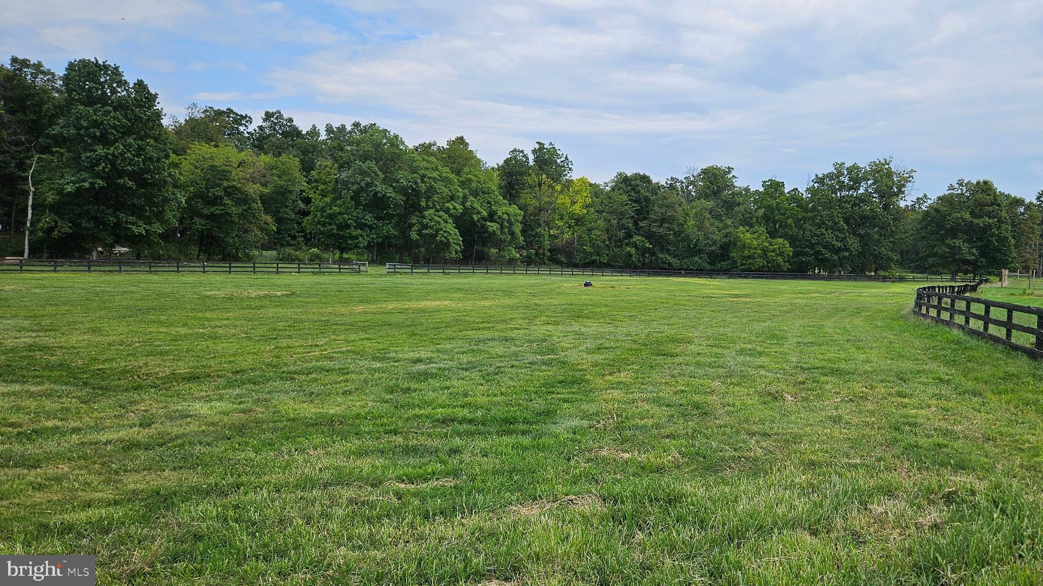 BLUEMONT - Residential