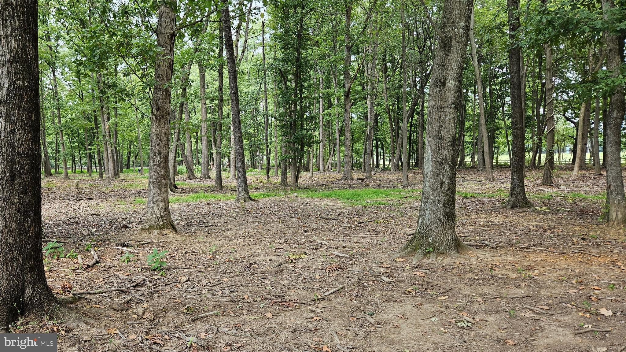 BLUEMONT - Residential